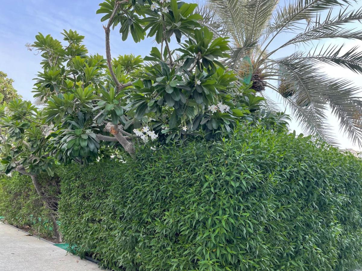 Al Corniche Hotel Šardžá Exteriér fotografie